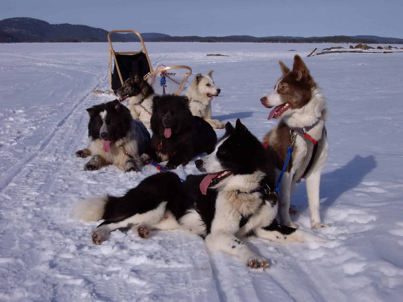 Majoitus Lapissa | Hi Ylläs